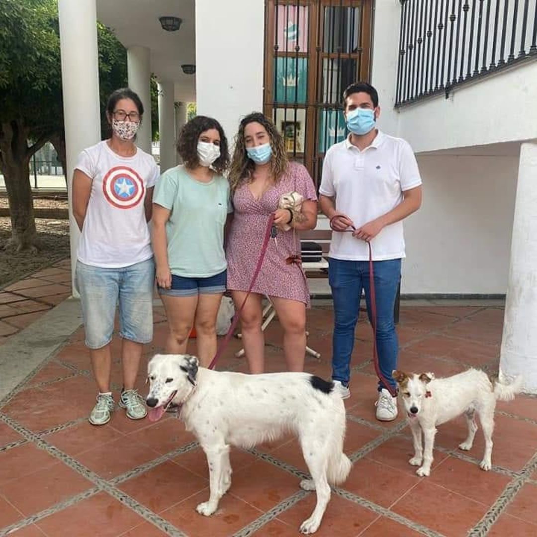 Lobres realizar una campaa de vacunacin antirrbica maana viernes 
